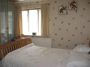 Picture No.07