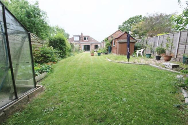 rear garden3.jpg