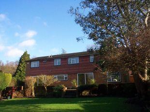 Rear Garden One