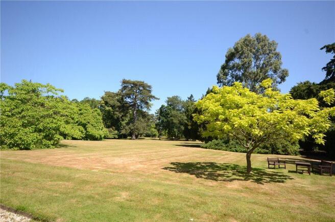 Grounds