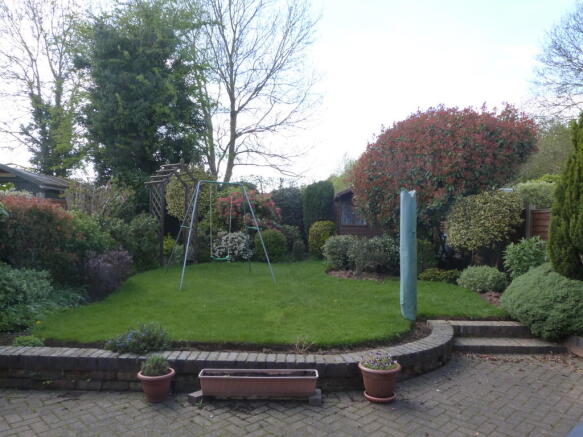 Photo 5