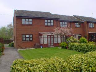 Rear Aspect