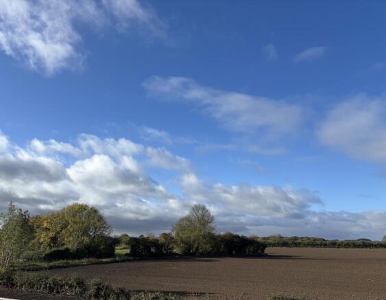 poppy fields view image 2