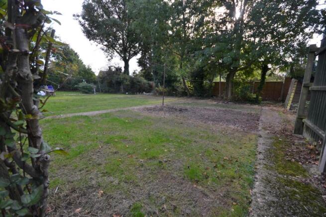 Garden.JPG