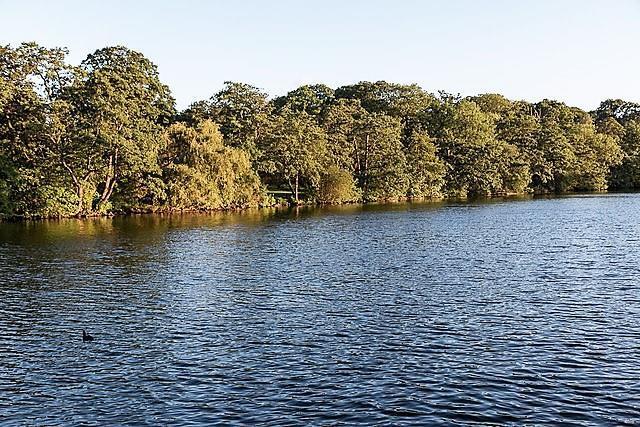 Grovelands lake.jpg