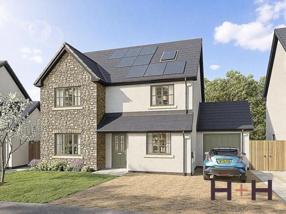 62 Seedfield