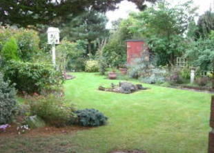 Photo 4
