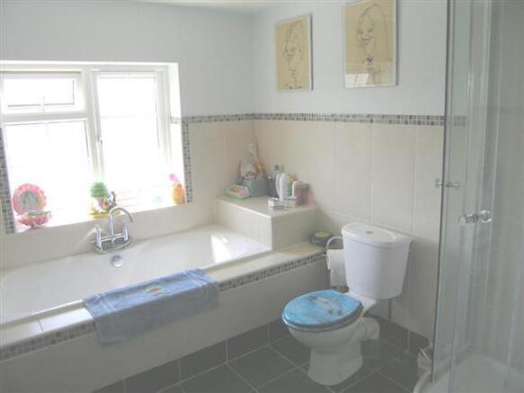 Photo 11