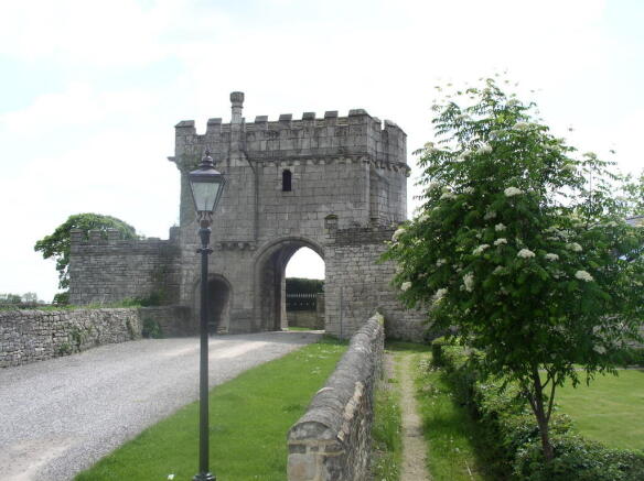 Photo 12