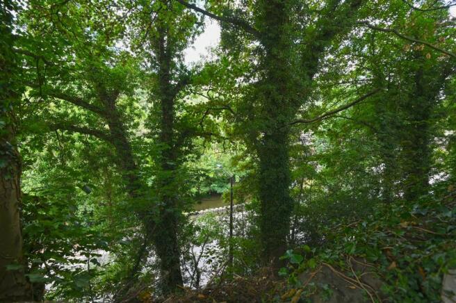 River view.jpg