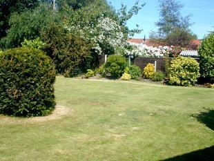 Photo 5