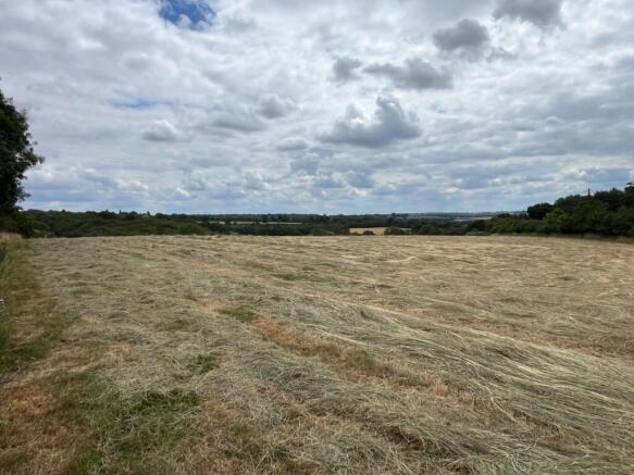 Picture No. 20