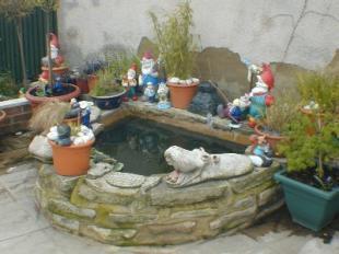 Garden pond
