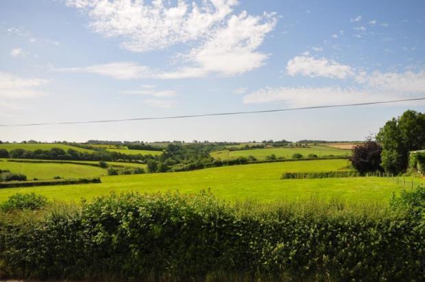 Picture No.13