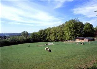 Land