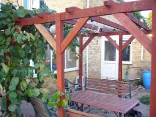 Patio Area