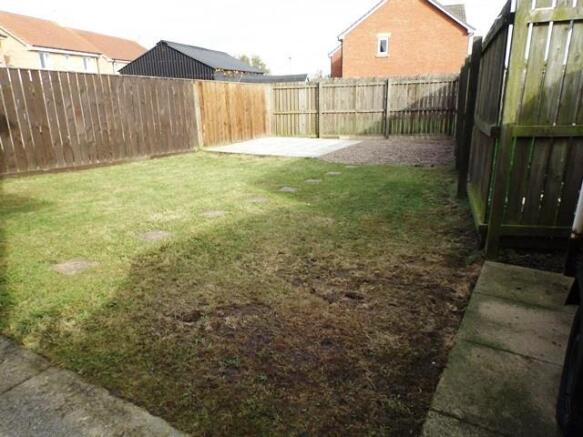 garden 2.jpg