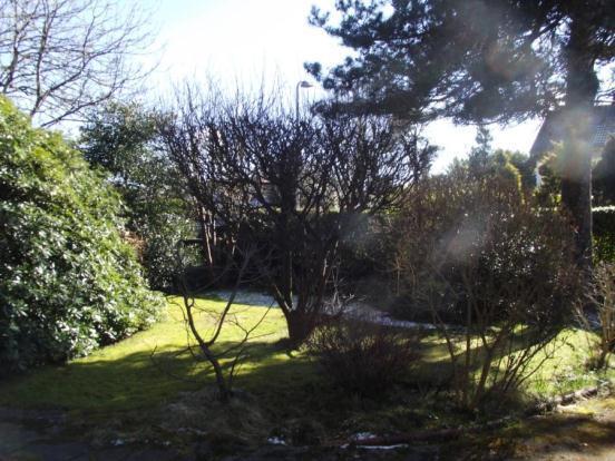 Side Garden