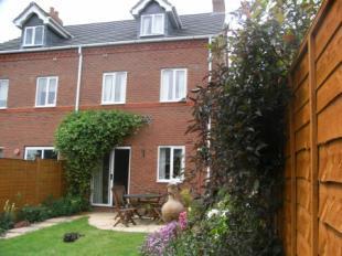 Rear Aspect
