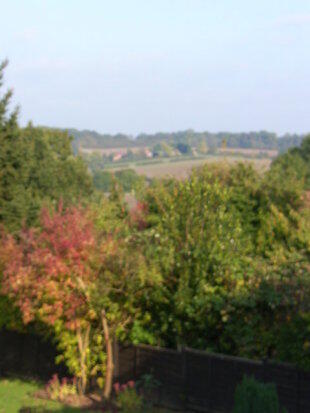 Far Reaching Views