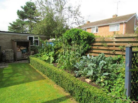 veg plot