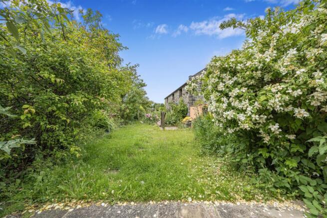 Garden 3.jpg