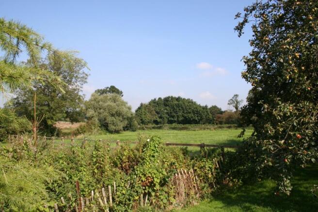 Rear paddock