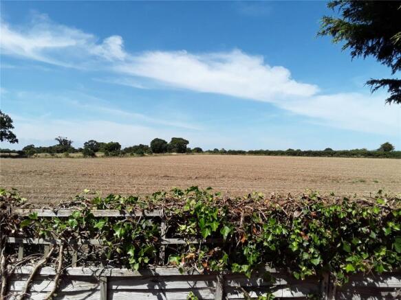 Field Views To Rear