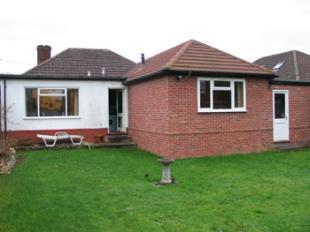 Rear Aspect