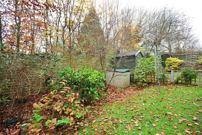 a garden 2.jpg