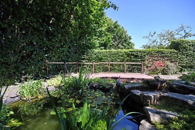 Pond