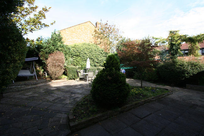 Photo 11