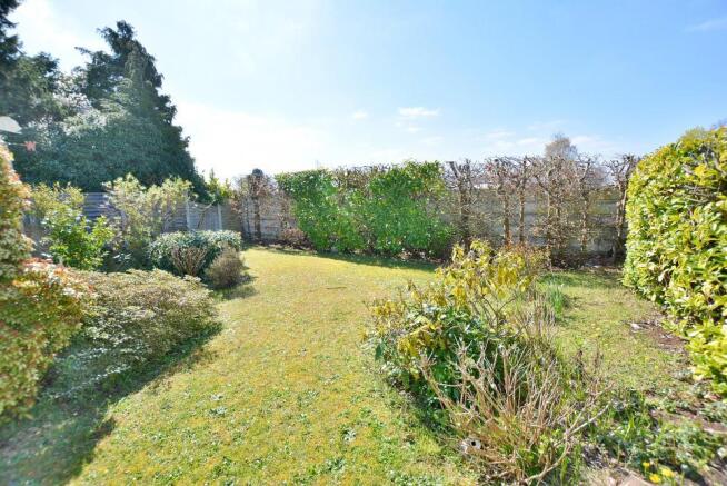 Rear garden