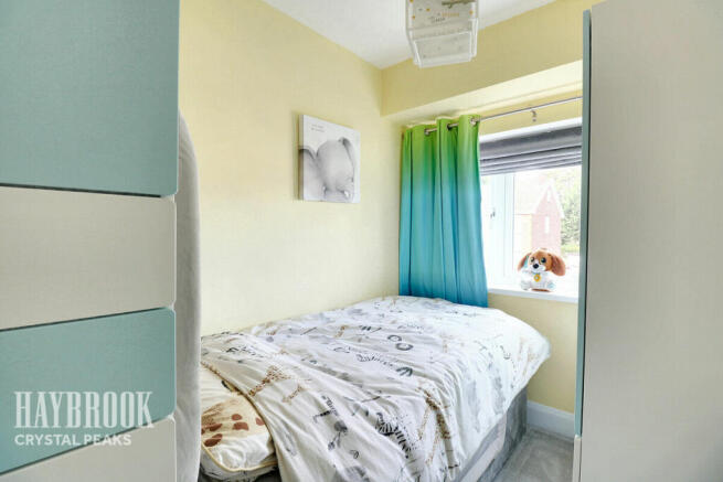 Photo 15