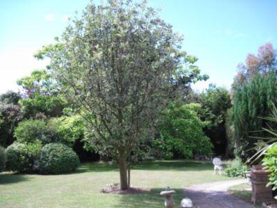 Photo 8
