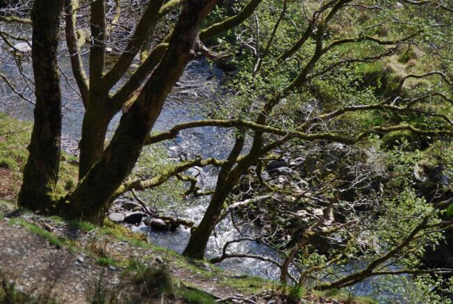 Glynderi - river vie