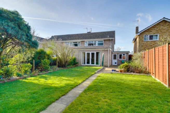 Back Garden