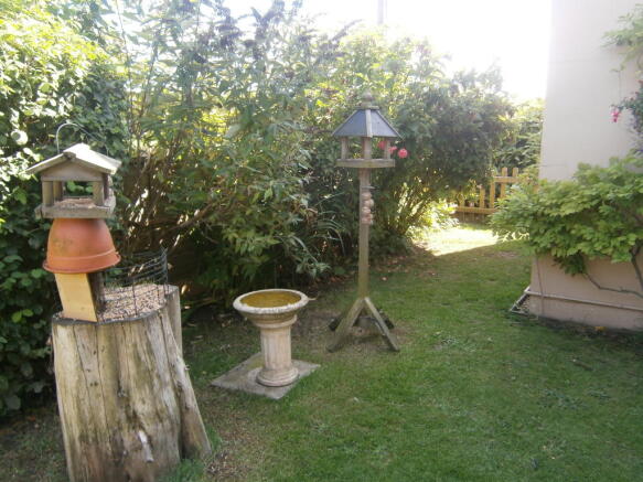 Photo 25