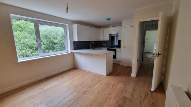 9HC Kitchen-Living Room.jpeg