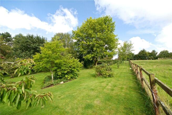 Garden/View