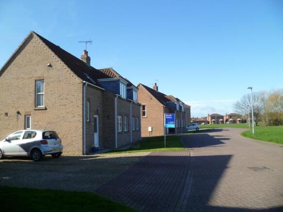 Image 19