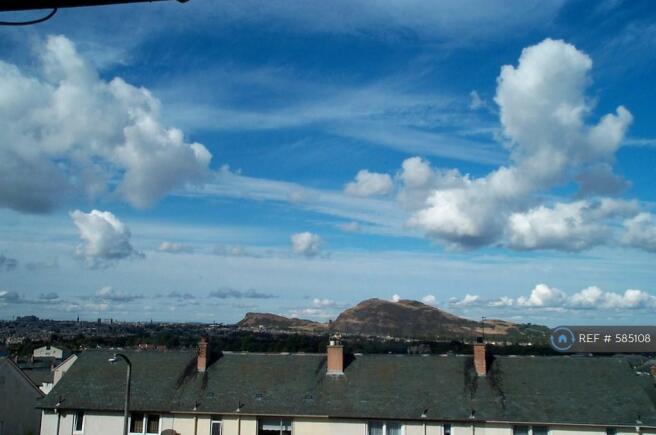This View Will Be Yours!