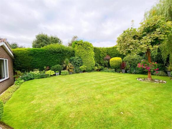 Garden 6.jpg