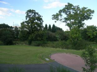 View to the front