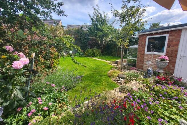 Mature Garden 