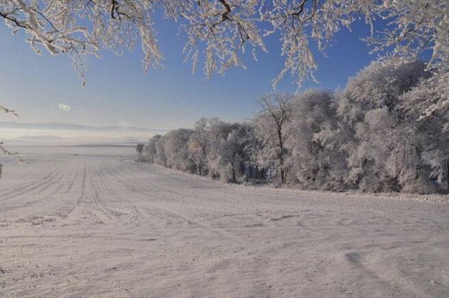 Winter View