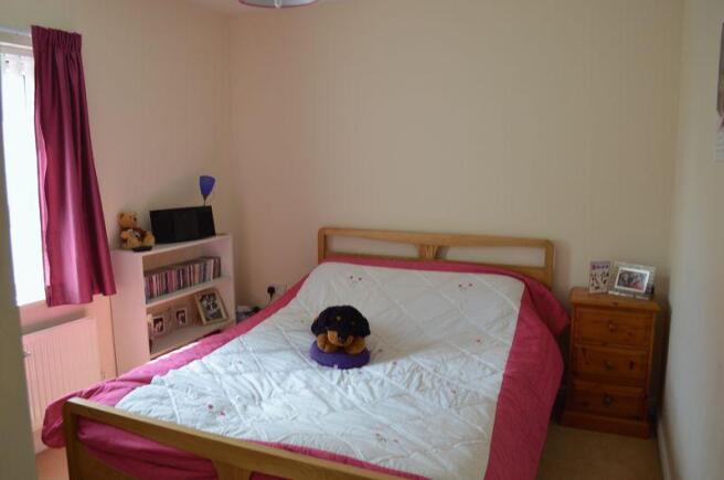Photo 10