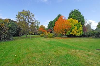 Approx. 3/4 Acre