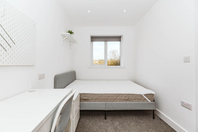 IMG_6560 (1) (1).JPG