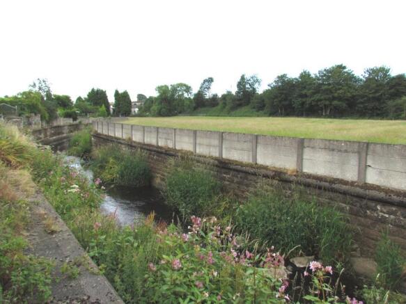 Stream with Fishing 